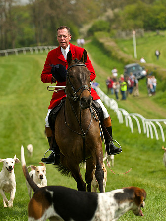 Ponies and Hounds 14
