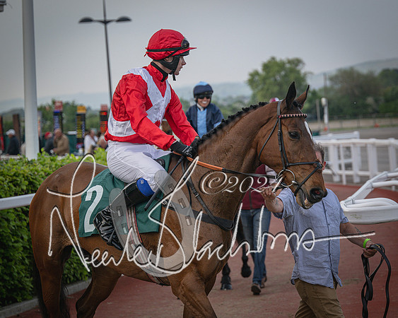 Race 5 - Mares Open Hunter Steeplechase 3m2f 70y (38 of 269)