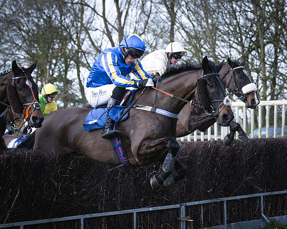 Race 2 - Maiden (75 of 145)