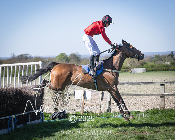 Race 4 - Mixed Open (138 of 168)