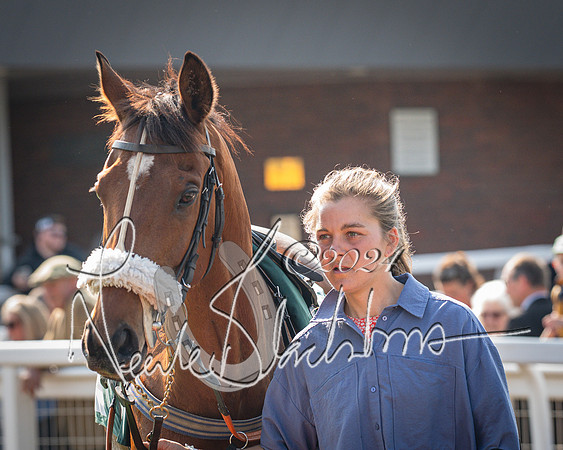 Race 1 - The Bottle Green Open Hunters steeplechase 2m62y (4 of 93)