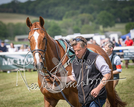 Race 1 - the Grafton adjacent hunts conditions race (level 2) (14 of 120)