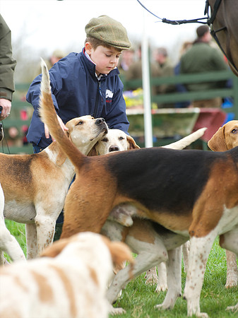 Pytchley - Hounds and friends 24