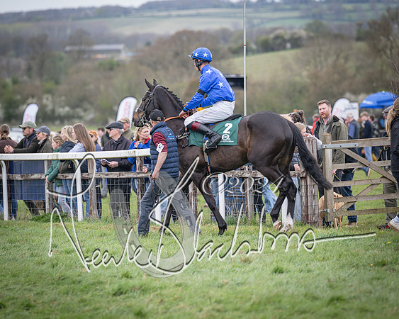 Race 2 - Tattersalls Cheltenham 4 year old Maiden (15 of 85)