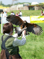 picture-6