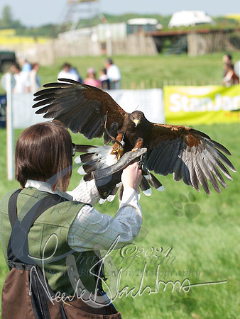 picture-6