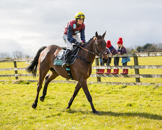 Race 5 - Restricted  (4 of 118)