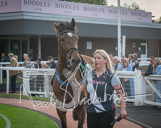 Race 5 - Mares Open Hunter Steeplechase 3m2f 70y (6 of 269)