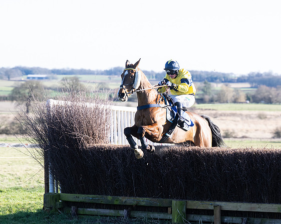 Race 5 - Maiden (97 of 123)