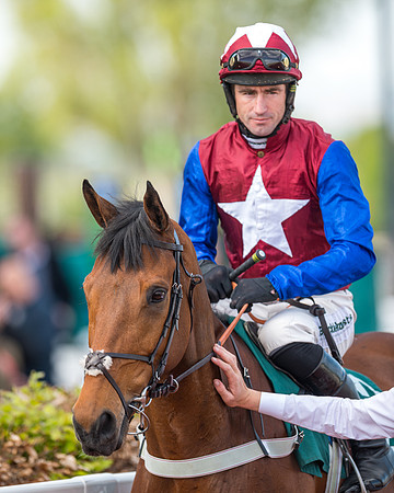 Race 2  -  Intermediate Point to Point Hunters' Steeple Chase (80 of 277)
