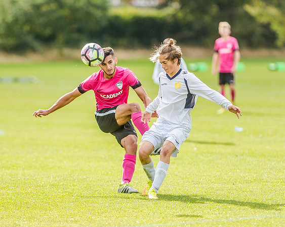 edsv 6-0 191016 (206 of 257)
