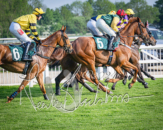 Race 3 - The Junior Jumpers open hunter's steeple chase 3m1f56y (55 of 156)