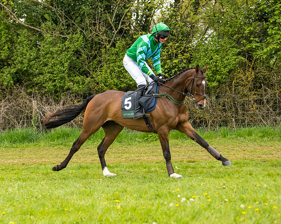 Race 7 - Open Maiden  (16 of 106)