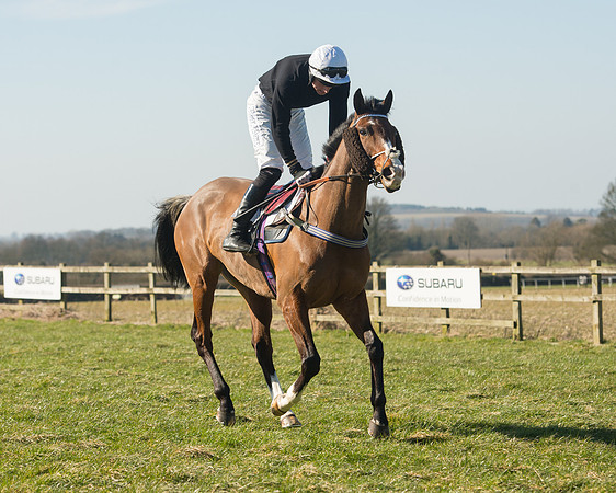 Race 1 Div 1 - 2M4F Maiden (34 of 117).jpg