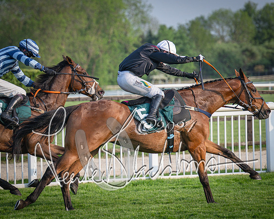 Race 4 - The Jonathan Neesom memorial open Hunter’s steeplechase 3m2f 70y (110 of 167)