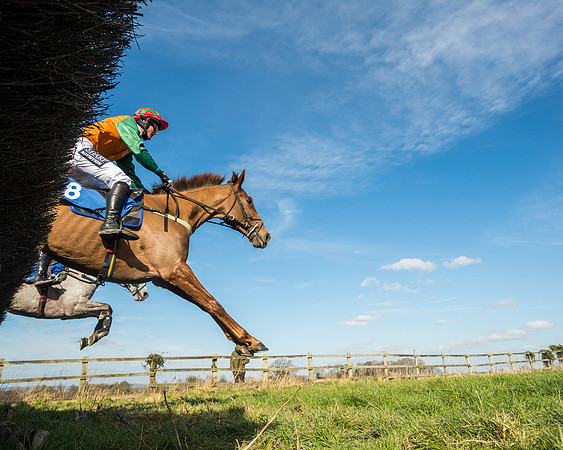 Race 1 - Open Maiden Division 2 (66 of 173)