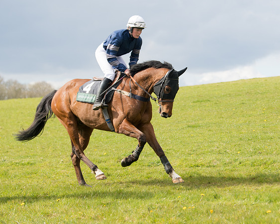 Race 3 - Owner Trainer conditions (2 of 132)