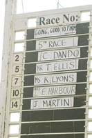 Old Berks at Lockinge Restricted Race