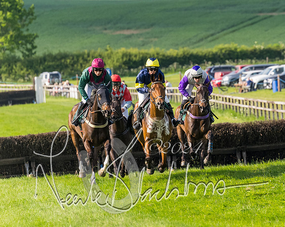 Race 6 - Owner trainer conditions (129 of 272)