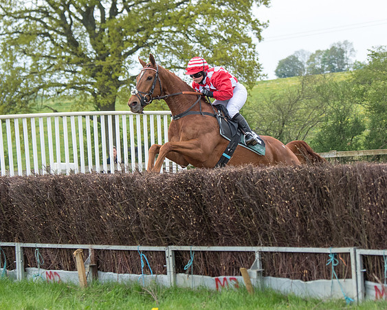 Race 6 - Restricted (104 of 173)