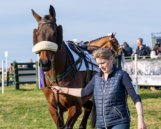Race 5 - PPORA Five years and over (34 of 163)