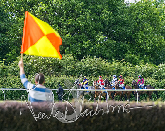 Race 5 - Restricted Race (180 of 434)