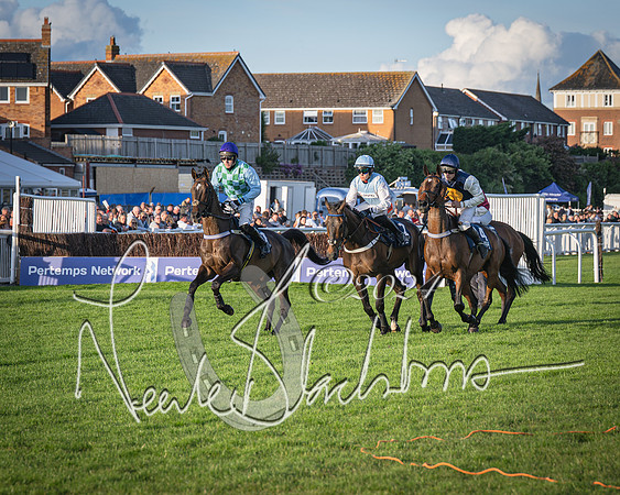 Race 5 - tipsterreviews.co.uk handicap (24 of 107)