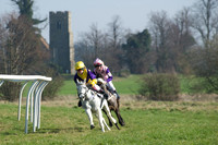 Pony Races -  12