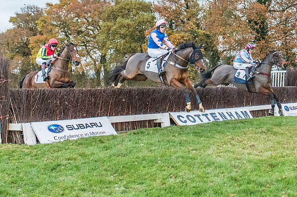 2 Mile 4 Furlong Maiden Race -18