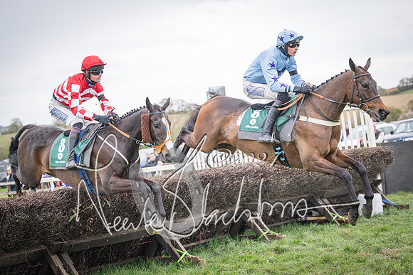 Race 6 - The Restricted Race (40 of 101)