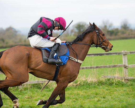 Race 6 - The Restricted Race (137 of 200)