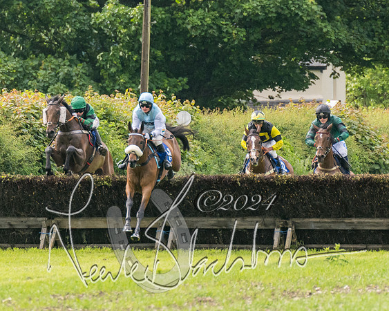 Race 4 - Mixed Open (178 of 591)