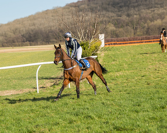 Race 3 - Ladies Open (16 of 156)