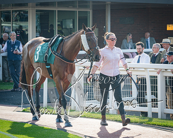 Race 3 - The Junior Jumpers open hunter's steeple chase 3m1f56y (13 of 156)