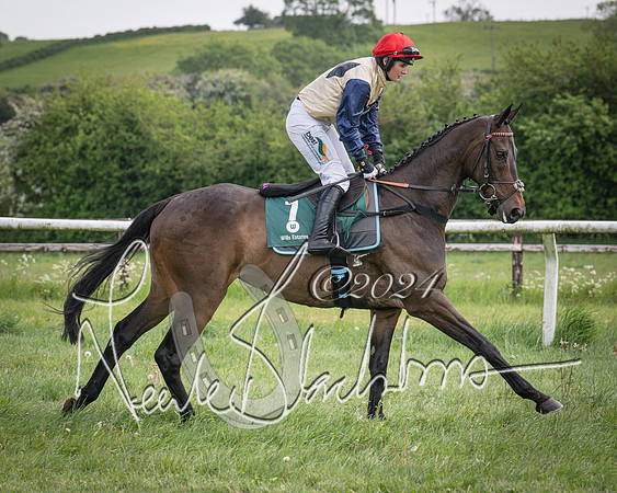 Race 1 - the Grafton adjacent hunts conditions race (level 2) (26 of 120)