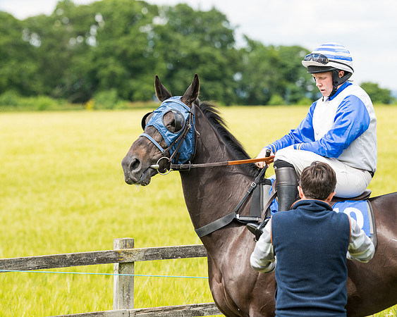 Race 2 - PPORA Novice Riders  (78 of 187)