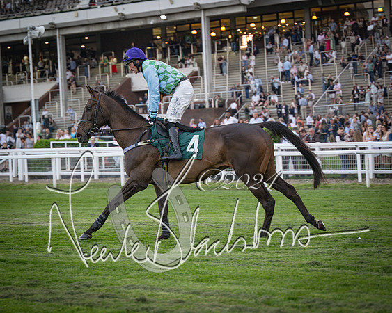 Race - 7 The Royal Gloucester Hussars Open Hunter's steeplechase 2m4f 127y (53 of 210)