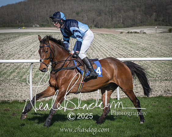 Race 6 - Veteran horse (24 of 109)