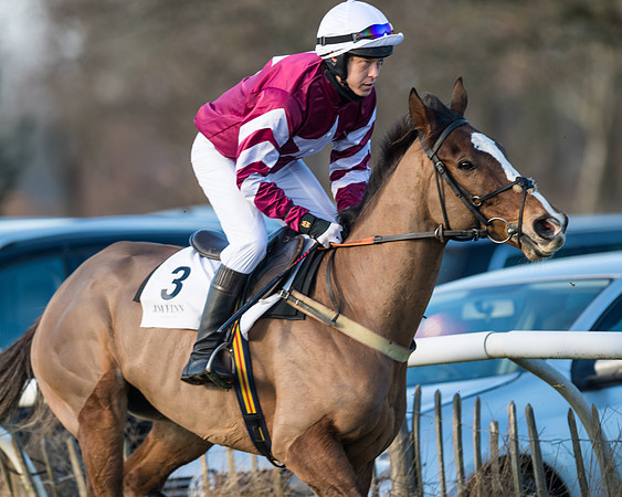 Race 2 - PPORA Novice Riders  (37 of 205)