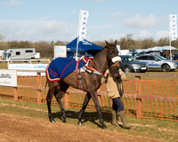 Race 1 - 4-5-6 Maiden (18 of 119).jpg