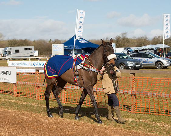 Race 1 - 4-5-6 Maiden (18 of 119).jpg