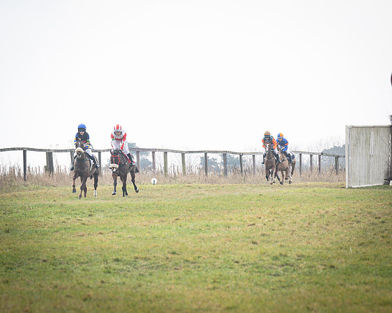 Pony Race 1 (9 of 67)
