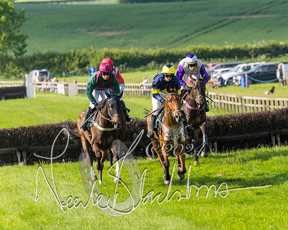 Race 6 - Owner trainer conditions (132 of 272)