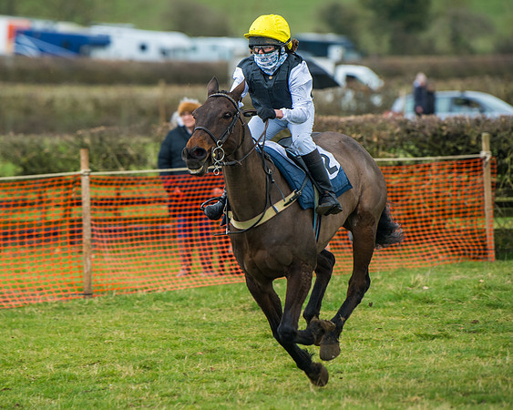 Pony Race 3 (49 of 67)