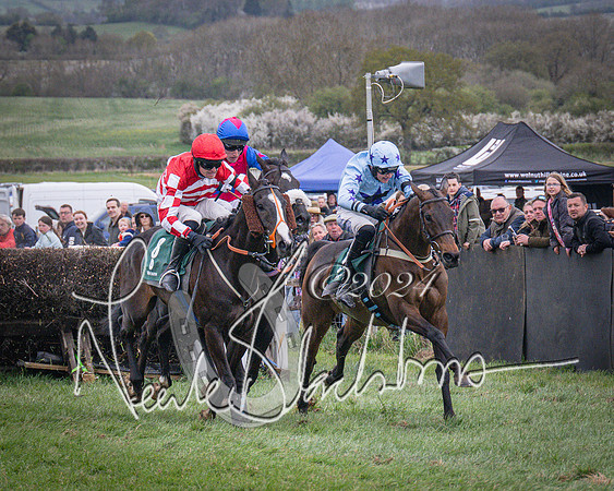 Race 6 - The Restricted Race (73 of 101)