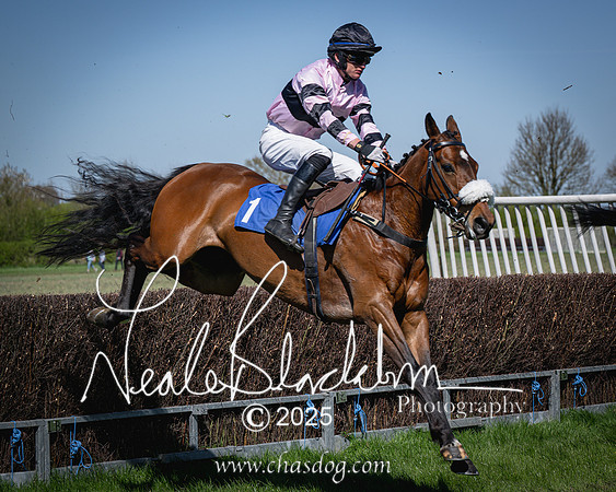 Race 2 - The Maiden (63 of 118)