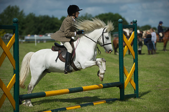 SOHS PC Summer Show at BCA 17th June 2012