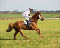 Race 2 - COnfined Hunts race (12 of 144).jpg