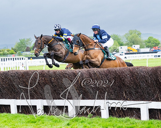 Race 5 - Mares Open  (28 of 129)