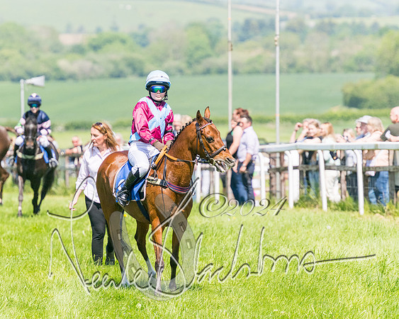 Pony Races  (17 of 141)